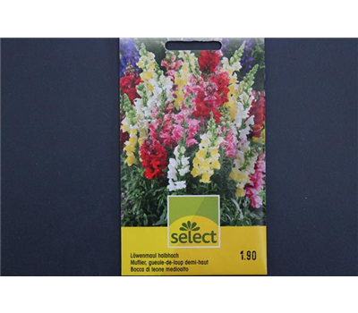 Halbhohes Löwenmaul