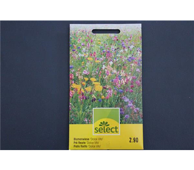 Blumenwiese Dolce Vita