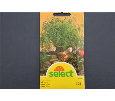 Dill einjährig