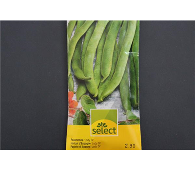 Feuerbohne 'Lady Di'