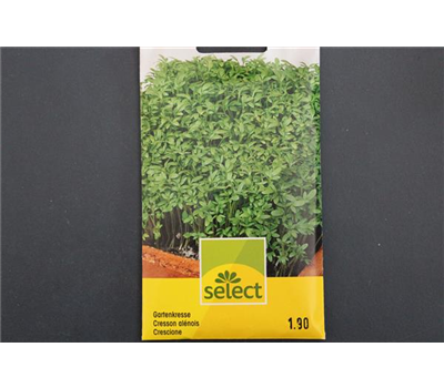 Gartenkresse einfach