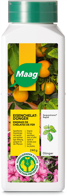 estragon dngen Bio Estragon (Artemisia dracunculus)