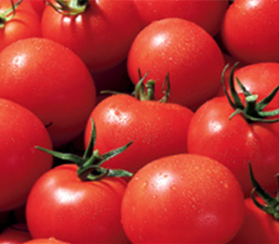 Tomaten