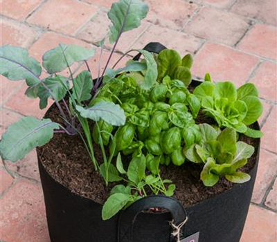 Sackgsund