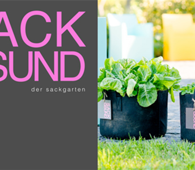 Sackgsund Gutschein