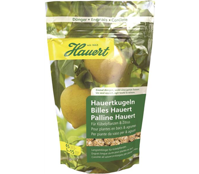 Hauertkugeln für Kübelpflanzen