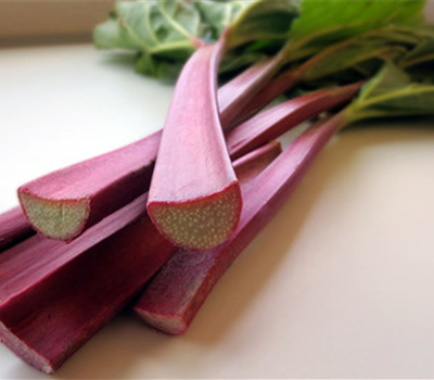 Esta (grüne Stiele)