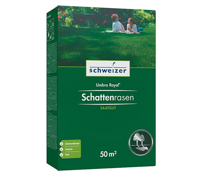 Schattenrasen